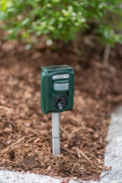 Dyreskræmmere / Bekæmpelse af fugle og snegle