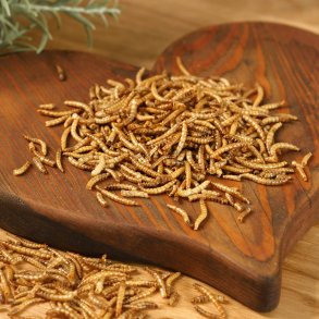 Hønsegodbidder / Hønsesjov