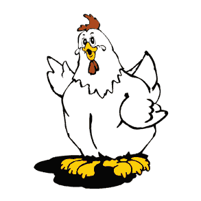 Startpakker til fjerkræhold