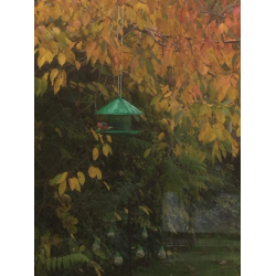 Fuglefoderautomat til haven - 2 kg.