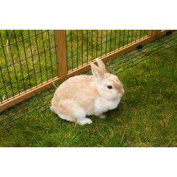 Kaninl�beg�rd med hytte "PUF LUKSUS" - Udend�rs