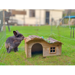 Kaninhus / Kaninhytte - Pluto - Mellem