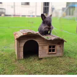 Kaninhus / Kaninhytte - Pluto - Lille