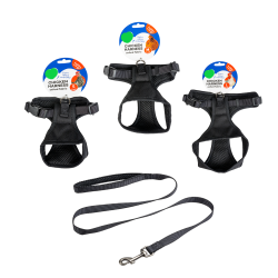 Hnseseler "Buddy" - Small