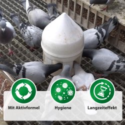 Drikkevandsdesinfektion AvidesPlus - 1000 ml.