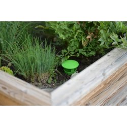 Drbersnegleflde / Snegleflde "ZIT"