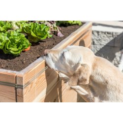 Drbersneglehegn elektrisk "SnailStop" - Startpakke med 10 meter