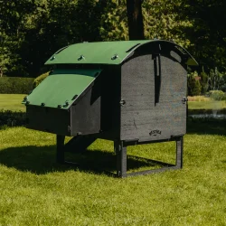 H�nsehus - Nestera Lodge Medium - 5-8 h�ns