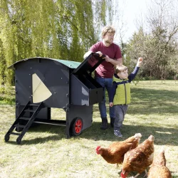 Hnsehus - Nestera Large - Hvet / Hj - 9-13 hns