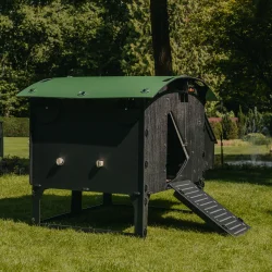 H�nsehus - Nestera Logde Large - 9-13 h�ns