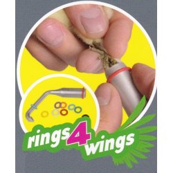 E-Z Elastikringe - 4,5 mm. - Grn - 50 stk.