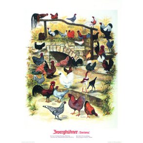 FANTASTISK FULDAUTOMATISK RUGEMASKINE<br>