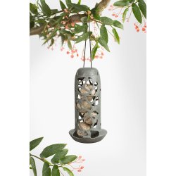 Singing Friend foderautomat Tara