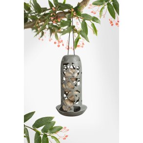 Singing Friend foderautomat Tara