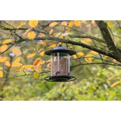 Fuglefoderhus plast "Molly"