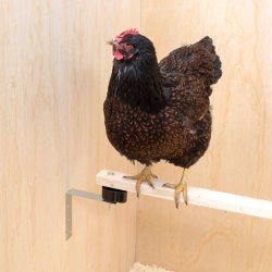 Anti Blodmide Kit - Undg blodmider naturligt