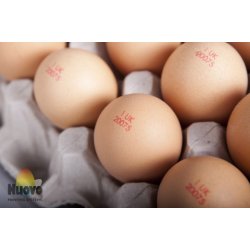 Stempel til g - 1 gs - ggestempel