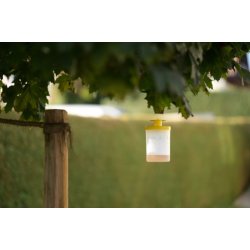 Flueflde ZIT FlyCage med lokkemiddel 4  25 g i haven