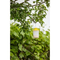 Flueflde ZIT FlyCage (inkl. lokkemiddel)