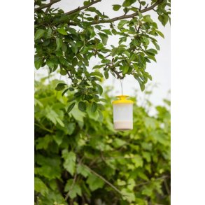Fluef�lde ZIT FlyCage (inkl. lokkemiddel)