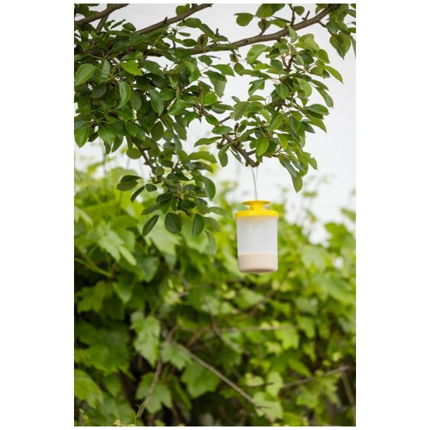 Fluef�lde ZIT FlyCage (inkl. lokkemiddel)