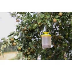 Fluef�lde ZIT FlyCage (inkl. lokkemiddel)