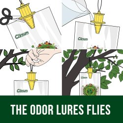 Fluef�lde - Ugiftig og effektiv "FlyTrapBag"