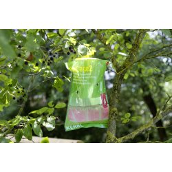 Flueflde - Ugiftig og effektiv "FlyCage2"