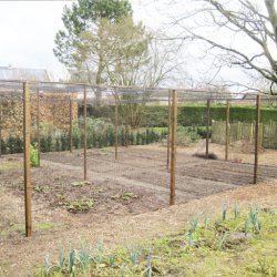 Overnet til hnsegrd / Voliere - 70 mm masker - 5 x 10 meter