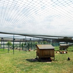 Overnet til hnsegrd / Voliere - 70 mm masker - 5 x 10 meter