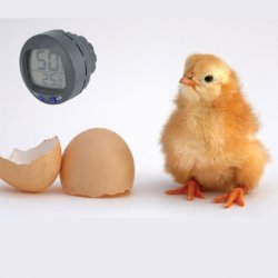 Hygrometer / Termometer PANU - Digital