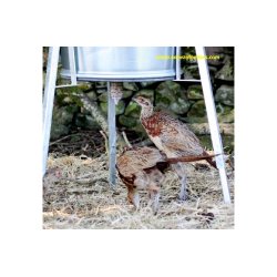 Foderspiral til Vildtfoderautomat - 2-DELT