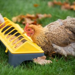 Fodertrug Disko - 50 cm. - Sort/gul