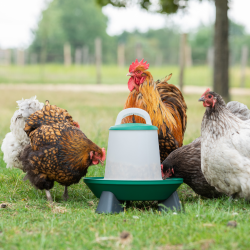 DISKO Fodersilo Rd - 2-Niveau - 3 kg. + Med ben