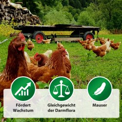 lgr Pro til fjerkr - 1500 gram