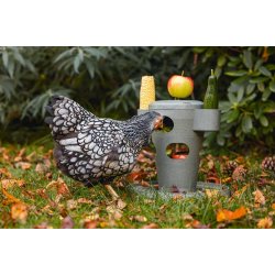 Snacktrn til hns - 100% genbrugsplast