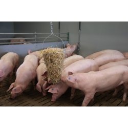 Grntfoderkurv til fjerkr og grise