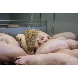 Grntfoderkurv til fjerkr og grise