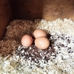 Plast redem�tte - 30x30 cm. - Universal