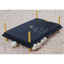 KUMO kyllingemor 60x40 cm. 