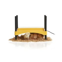 Kyllingevarmeplade - EcoGlow - 30x20 cm. - 20 kyllinger