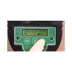 ChickSafe Advanced Aut. bne-/Lukke Automatik - Med hnselem