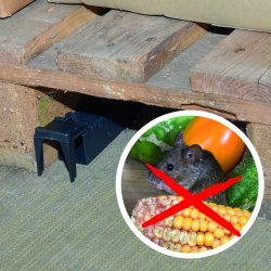 Musef�lde "Vippe tunnel"