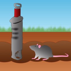 Mosegriseflde / markmusflde / muldvarpeflde "CIT"