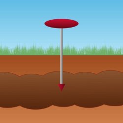Mosegriseflde / markmusflde / muldvarpeflde "CIT" - Tilbehrsst