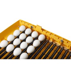 Brinsea Ovasion 56 - ZOOLOGICA - Rugemaskine til eksotiske fugle