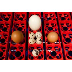 REAL 49 Rugemaskine - Halvautomatisk