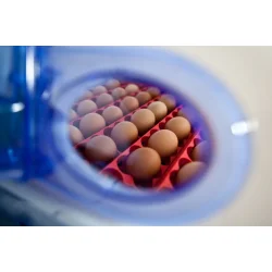 REAL 24 Rugemaskine - Halvautomatisk