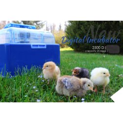 AMERICA Rugemaskine - 24 gs - Helaut. - DIGITAL