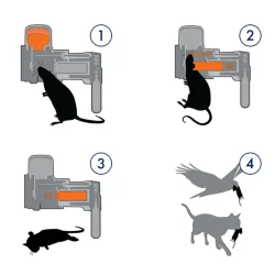 Rotteflde - Museflde GoodNature Basis Kit - Automatisk og giftfri flde